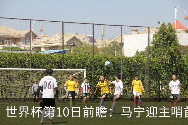 世界杯第10日前瞻：马宁迎主哨首秀 日本队踢第1000场里程碑